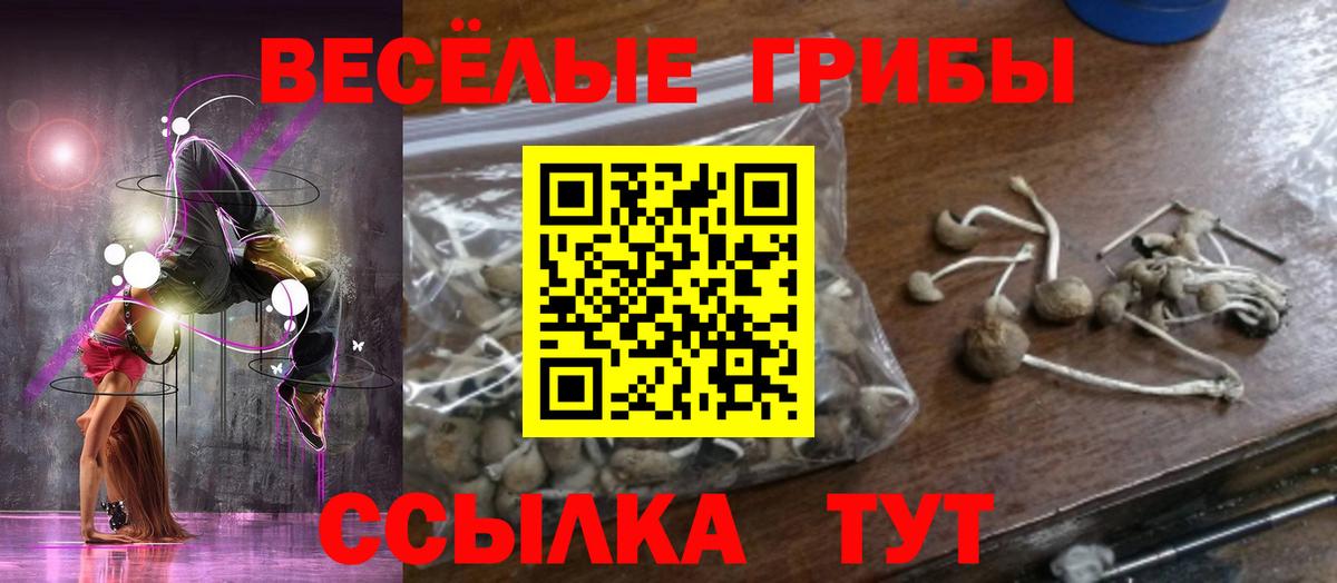 Котовск  Псилоцибиновые грибы Magic Shrooms  Псилоцибиновые грибы мицелий  Вход с VPN 